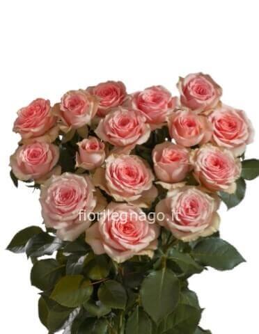 Rose rosa a steli, prima scelta, lunghezza 60 cm