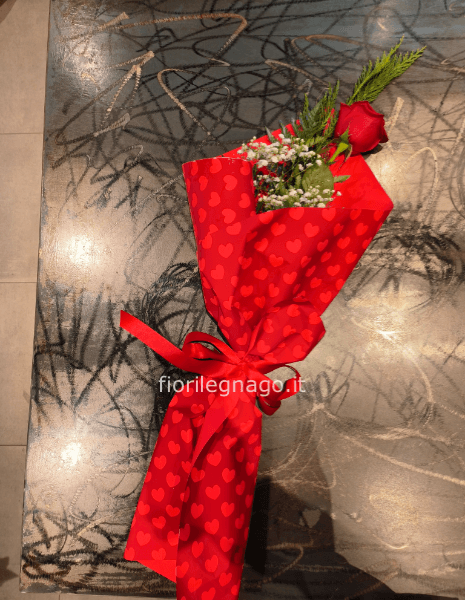 Rosa rossa a gambo lungo confezionata