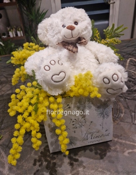 Orsacchiotto con box e mimosa