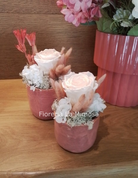 Composizioni di fiori STABILIZZATI